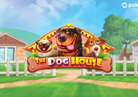 The Dog House